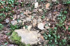 AA256E16-A2AA-4582-9EE8-CAB374DFFB62