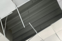 AD1BEB2F-5208-4C1A-BB42-5425A0FBBF22