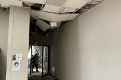 EC43E453-F3A1-4978-8C0F-C7351554AD3B