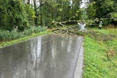 43C11C3E-316E-4FD8-BFB8-36022818F9D5