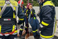 20220924_174035000_iOS-1