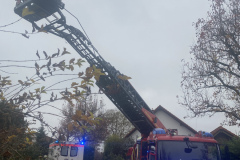 CE7FDAD3-FC25-4918-9078-479DD97F6C22