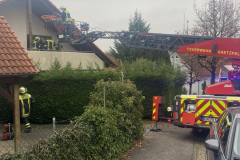 D02B6843-6EB9-4070-9880-7A544175AA47