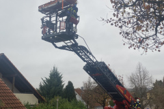 D09B3F8F-18B3-4116-B465-B453144AA976