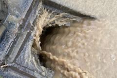 FA79FEE8-7EBA-4536-9E2E-7A937418C318