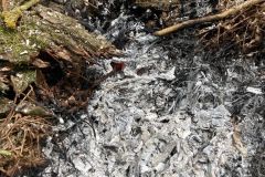 05e861d2-6949-47c9-9215-bd8cd73dc43c