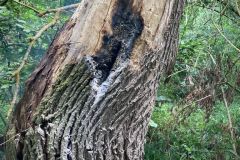 6cf2d147-de2d-4b99-9bca-2b87e09d258f