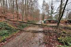 6bad4f69-fe22-4112-96ff-9a1da1f40b0d