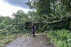 20240518_110548292_iOS