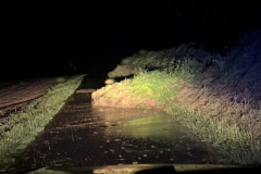 20240517_231144006_iOS