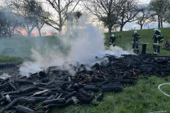 20250405_181108499_iOS