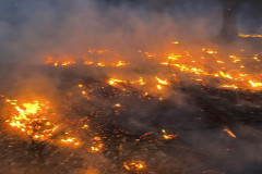 20260324_175623686_iOS