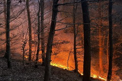 20260324_181058444_iOS