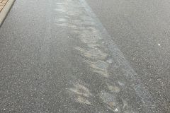 20260414_072954000_iOS