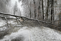 B01A488D-18EE-4AEC-B090-5F3796A15AC4