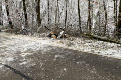 D2A062CF-AB76-498E-A0DE-22E5ED6F5090