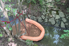 20250806_102729055_iOS